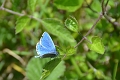 26 05 12_1261_edited-1